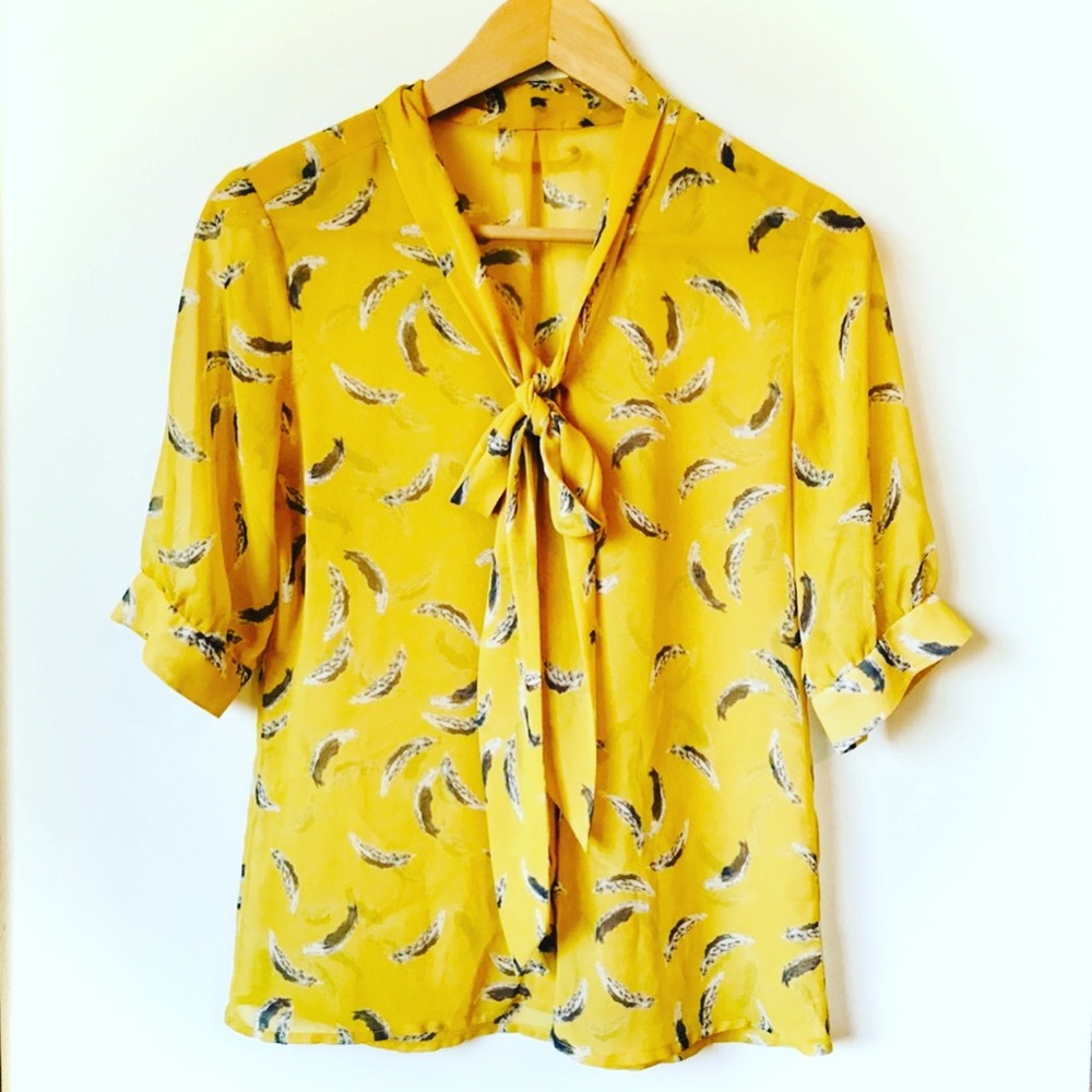Sheer Tie Front Feather Blouse